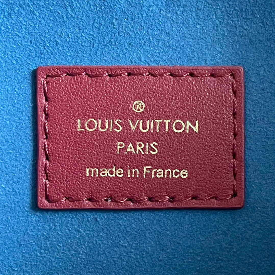 Louis Vuitton Coussin PM Bag