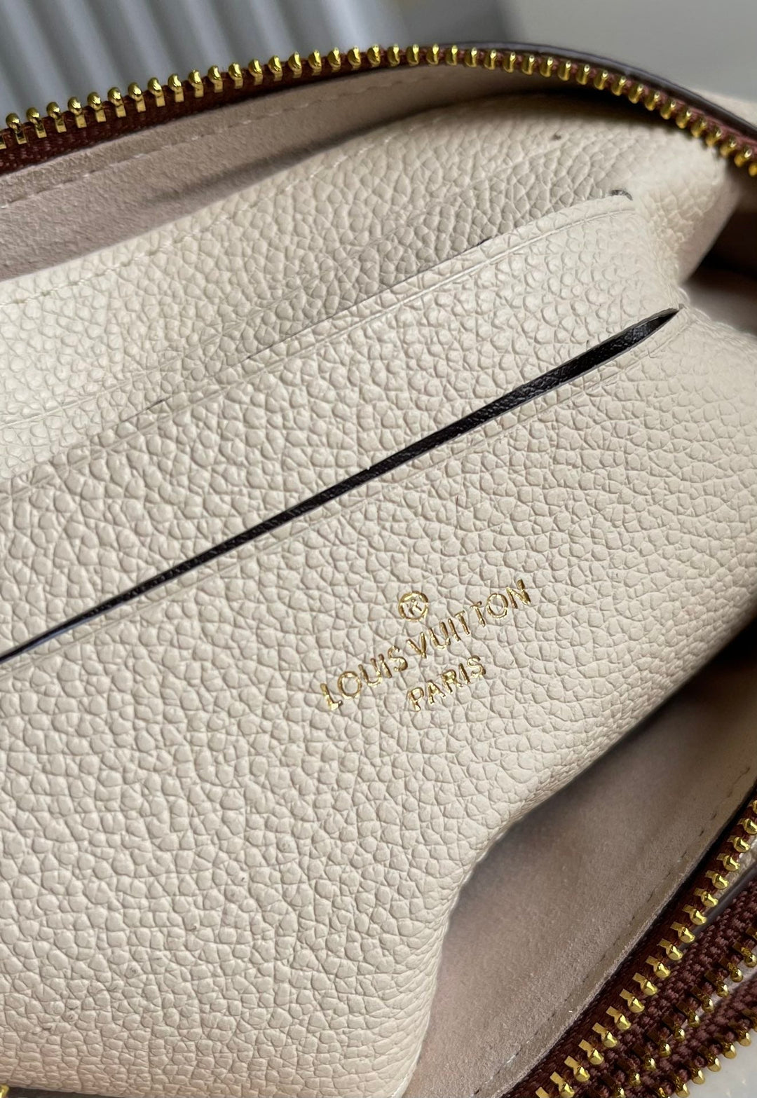 Louis Vuitton Double Zip Pochette Bag