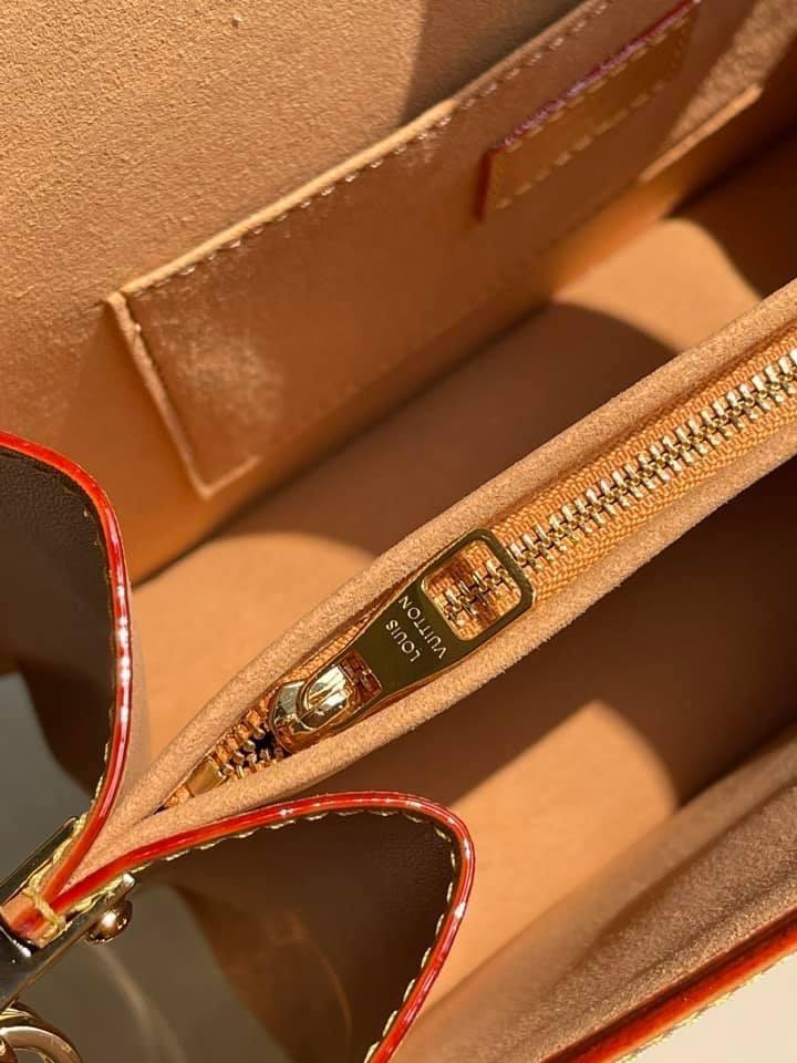 Louis Vuitton 1854 Dauphine MM Bag