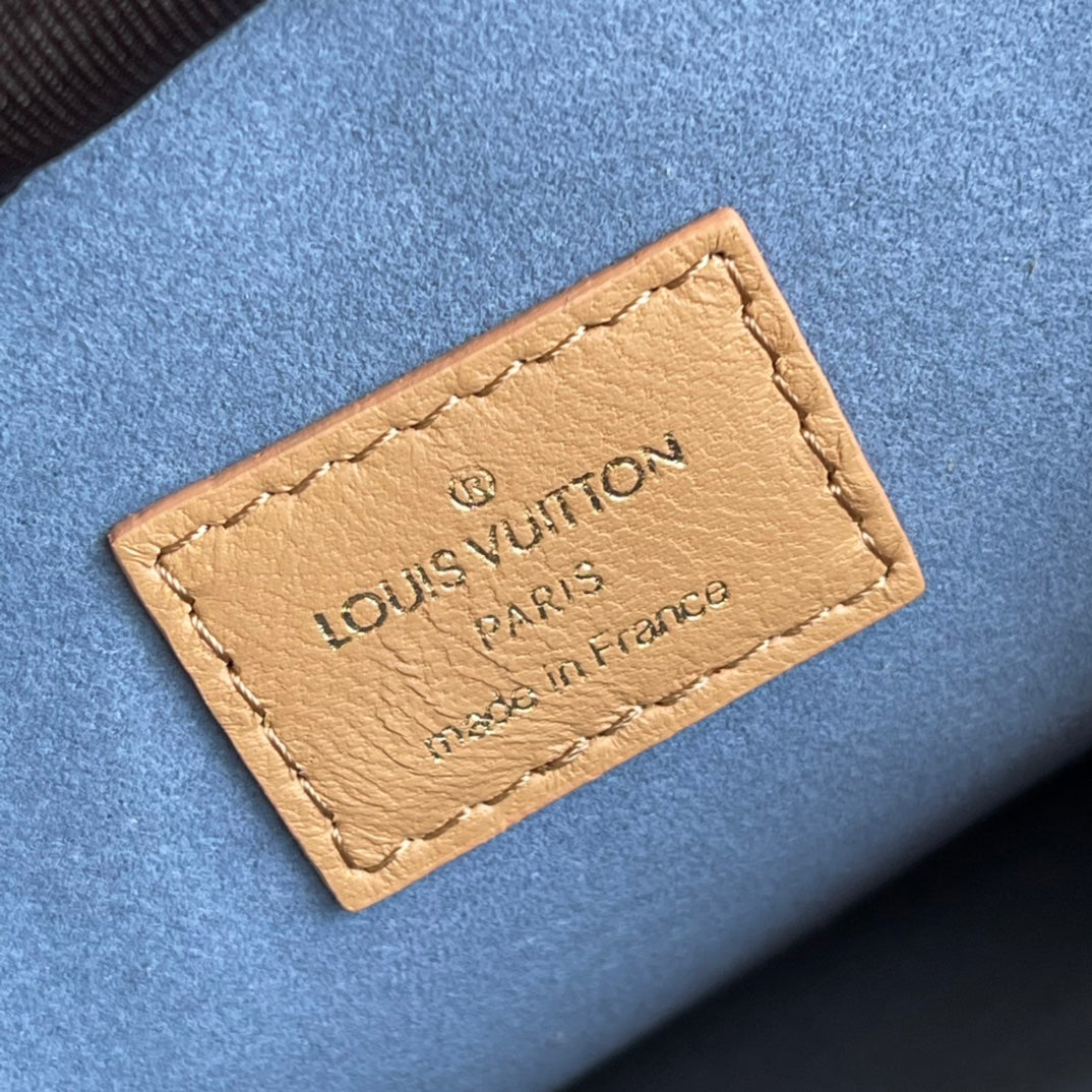 Louis Vuitton Coussin PM Bag