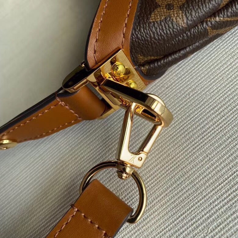 Louis Vuitton Dauphine MM Hobo Bag