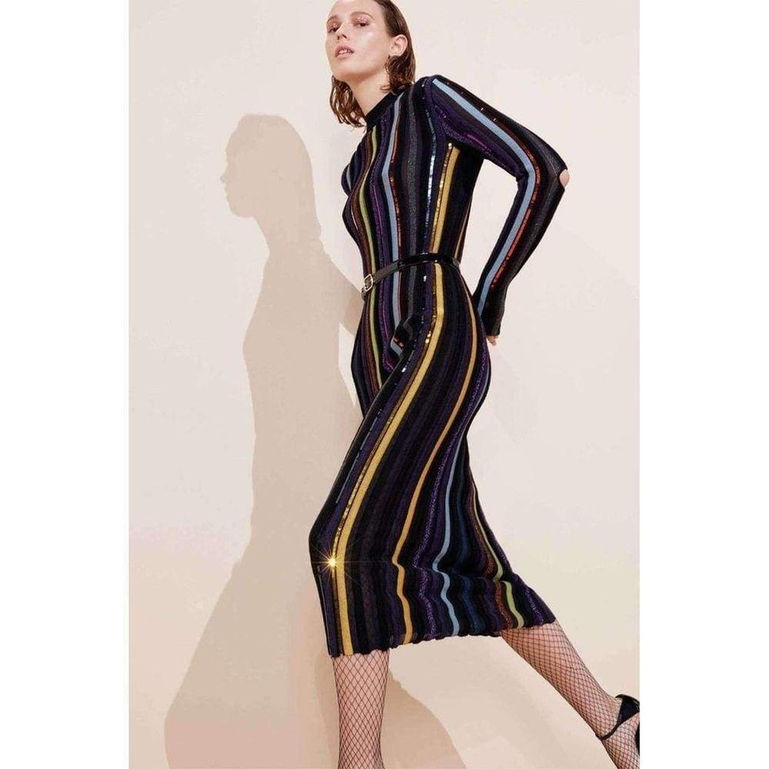Long Sleeve Sequin Embellished Knit Bayadere Dress