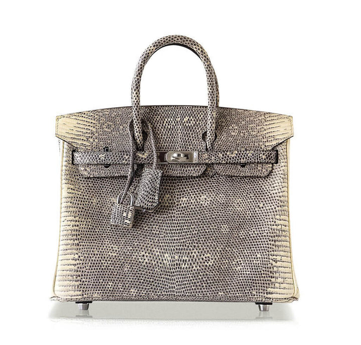 Hermès Birkin 25 Ombre Lizard Bag PHW