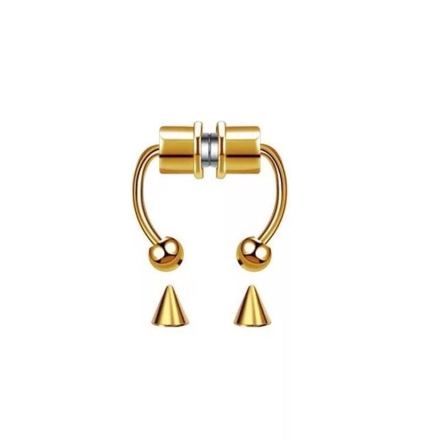 2021 Fake Piercing Nose Ring Alloy Nose Piercing Hoop Septum Rings For Women Body Jewelry Gifts Fashion Magnetic Fake Piercing