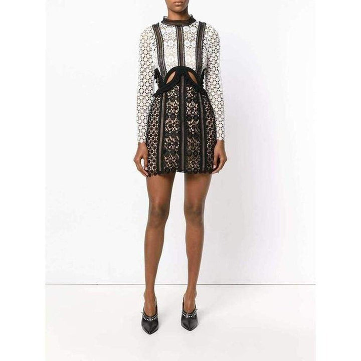 Payne Lace Cut-out Mini Dress