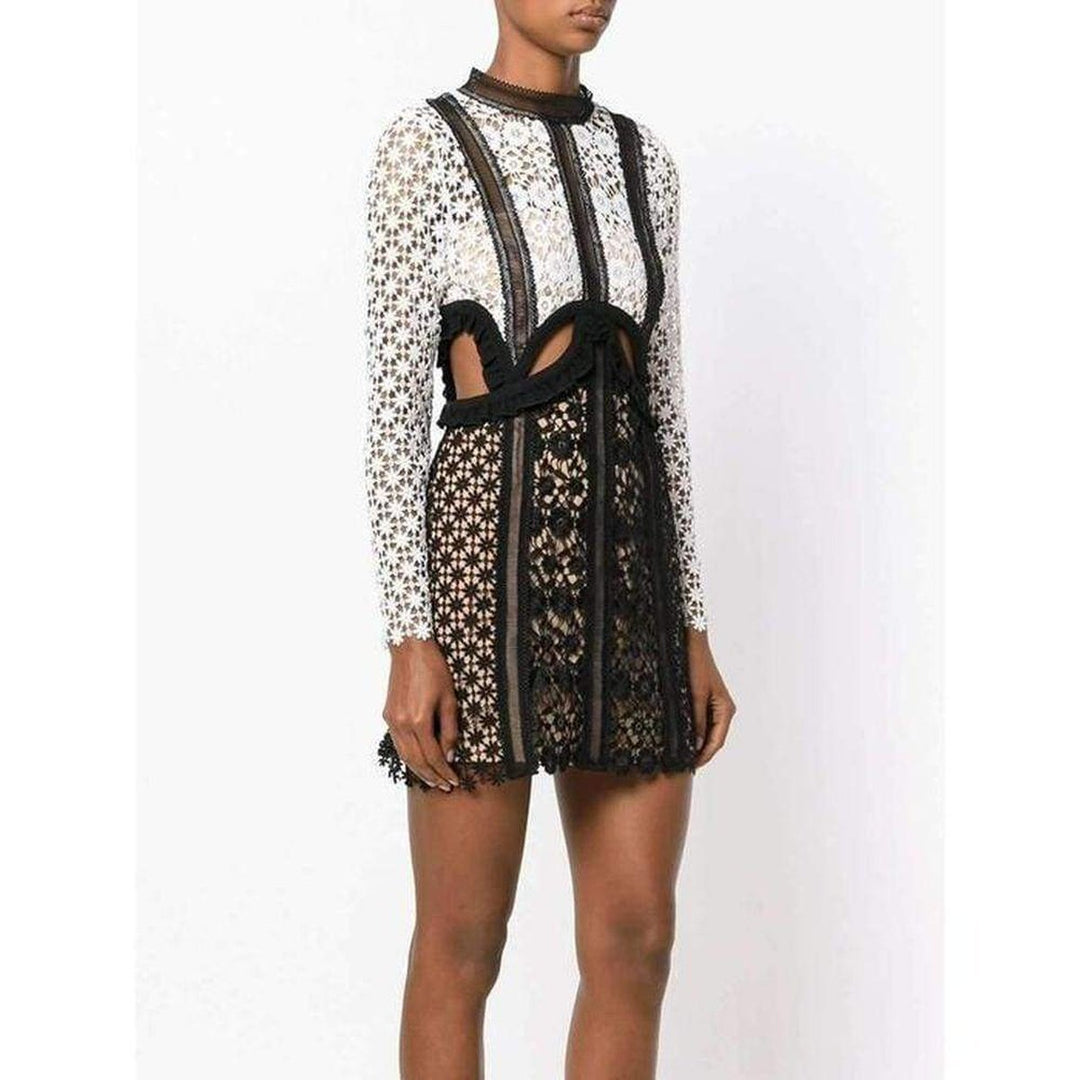 Payne Lace Cut-out Mini Dress