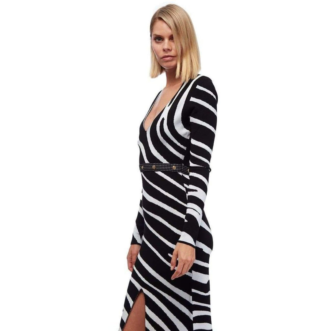 Zebra Print Sweater Dress