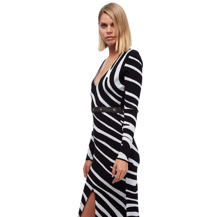 Zebra Print Sweater Dress