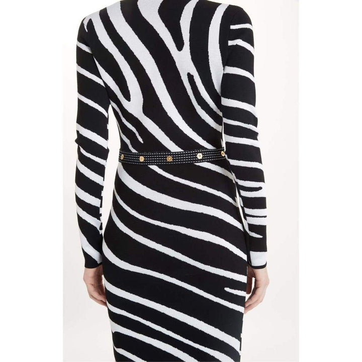 Zebra Print Sweater Dress
